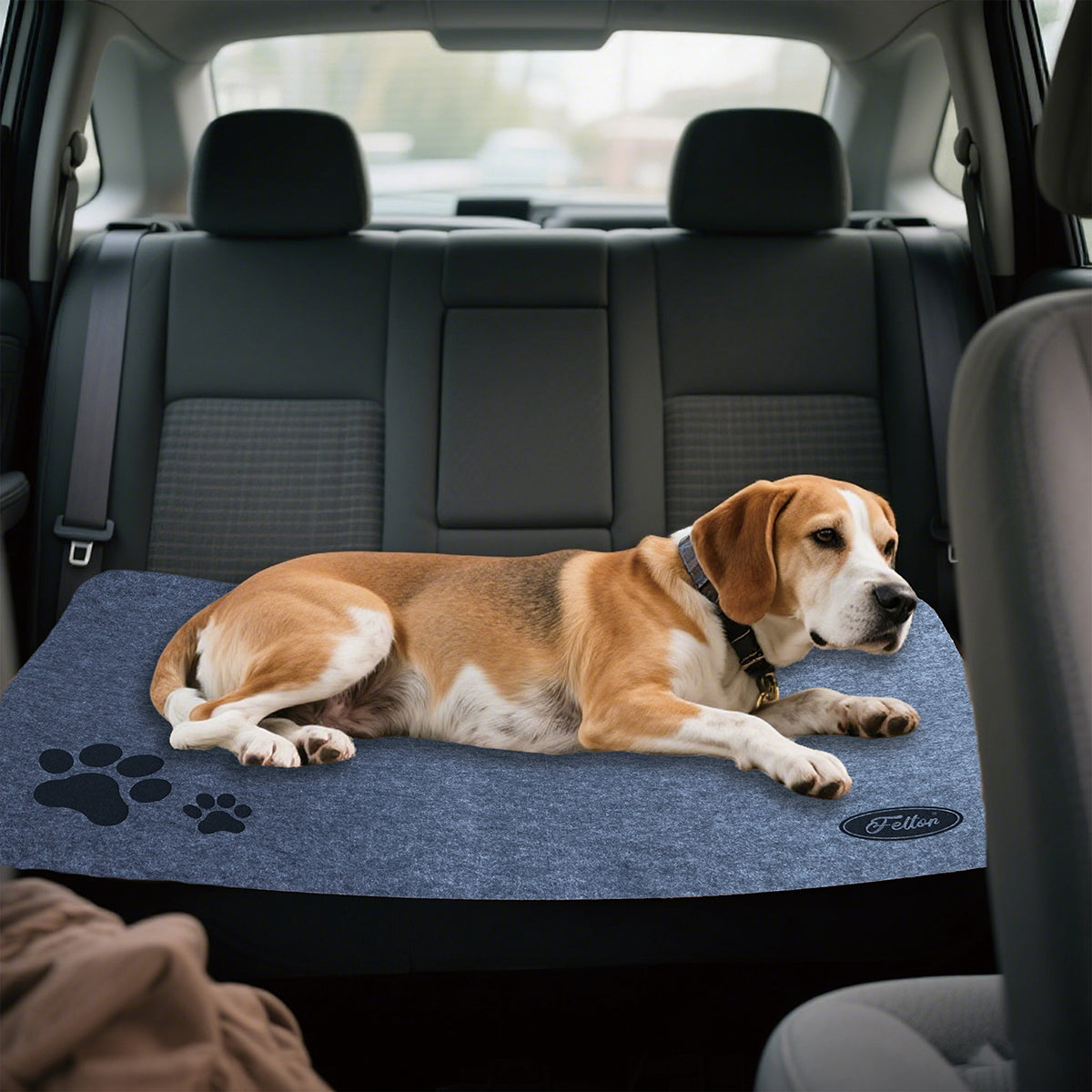 Feltor Multi-Purpose Scratch-Resistant Non-Slip Floor Protection felt pet Cats & Dogs Mats & Pads (12pcs) for Home, Car, Hotel & Crate Training Scratching Mats & Dog Kennel Liners