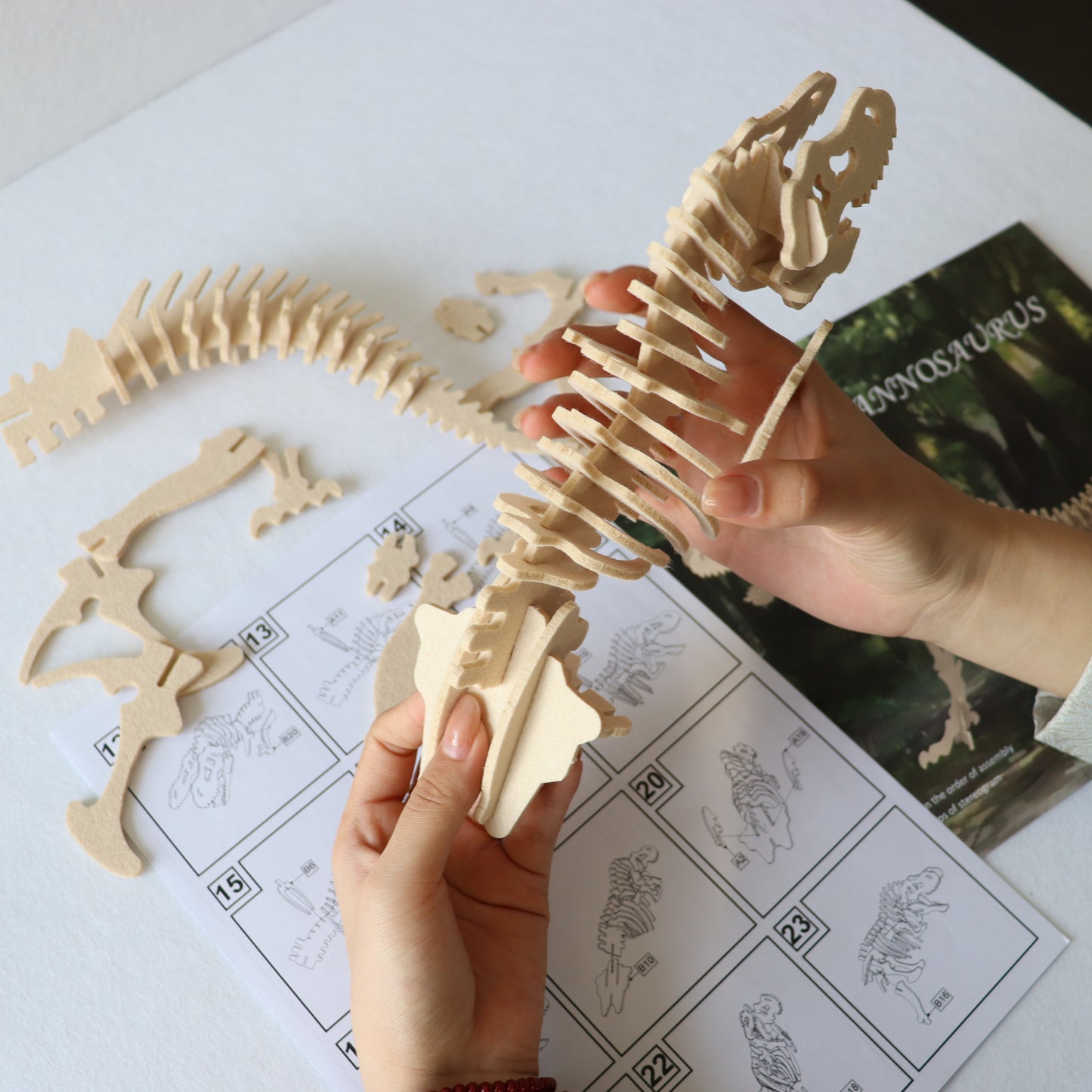 Feltor 3D puzzle for kids different from wooden puzzles felt Tyrannosaurus DIY 3D puzzle dinosaur puzzle toy educational game set a good gift for children